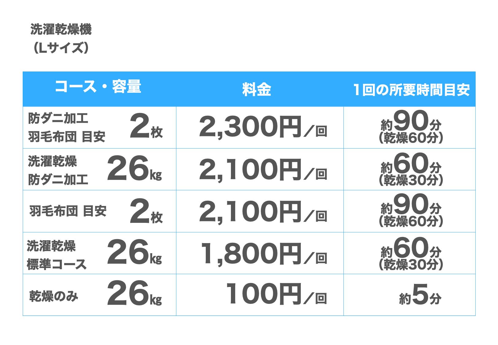 洗濯乾燥機Lサイズ