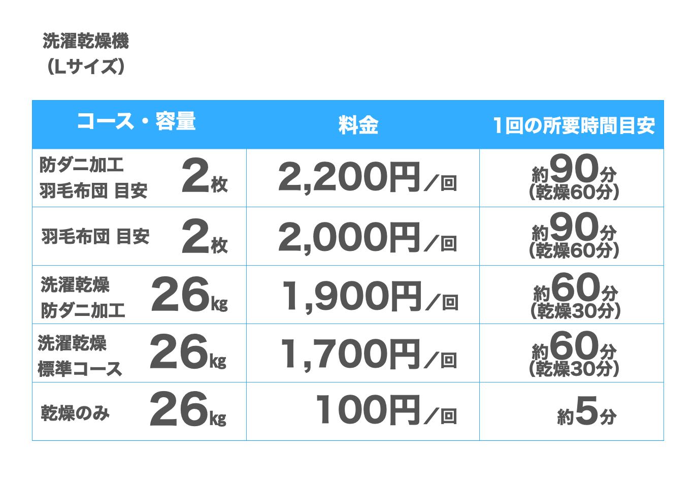 洗濯乾燥機Lサイズ